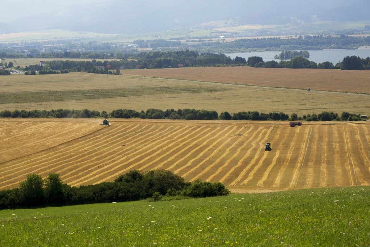 Rastlinná výroba